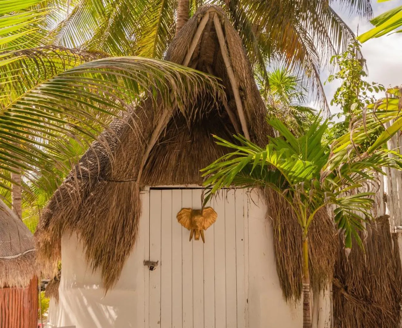 12Br Beachfront Private Villa With Infinity Pool By Solmar Rentals Tulum