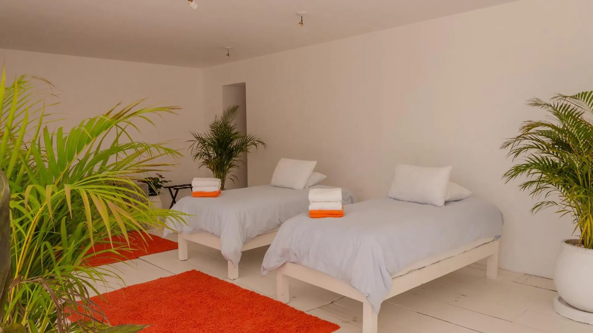 12Br Beachfront Private Villa With Infinity Pool By Solmar Rentals Tulum Mexico