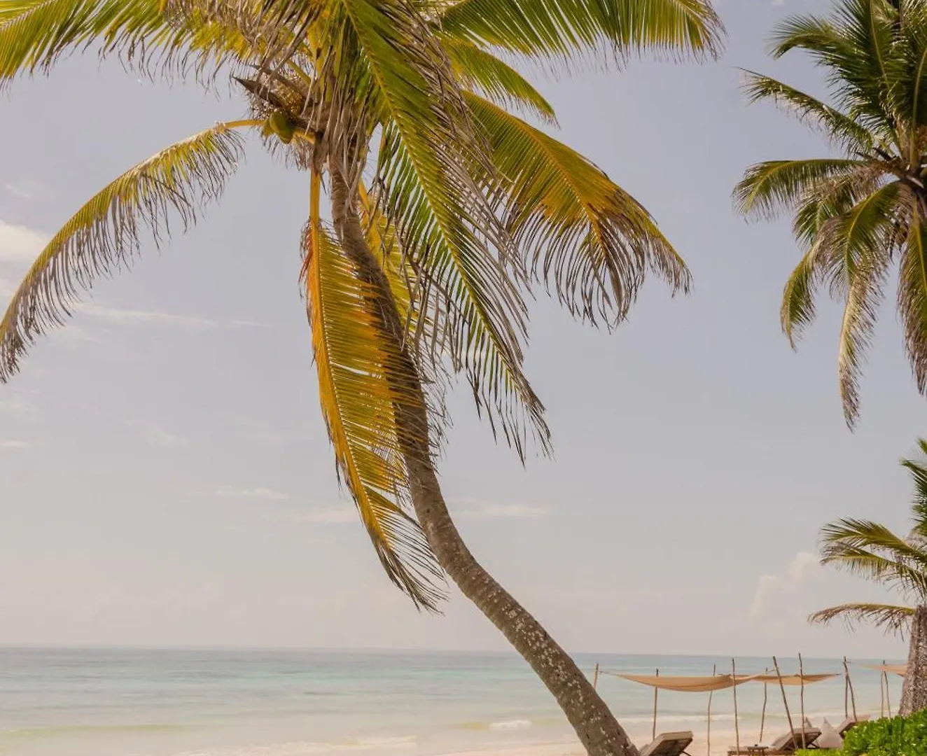 12Br Beachfront Private Villa With Infinity Pool By Solmar Rentals Tulum