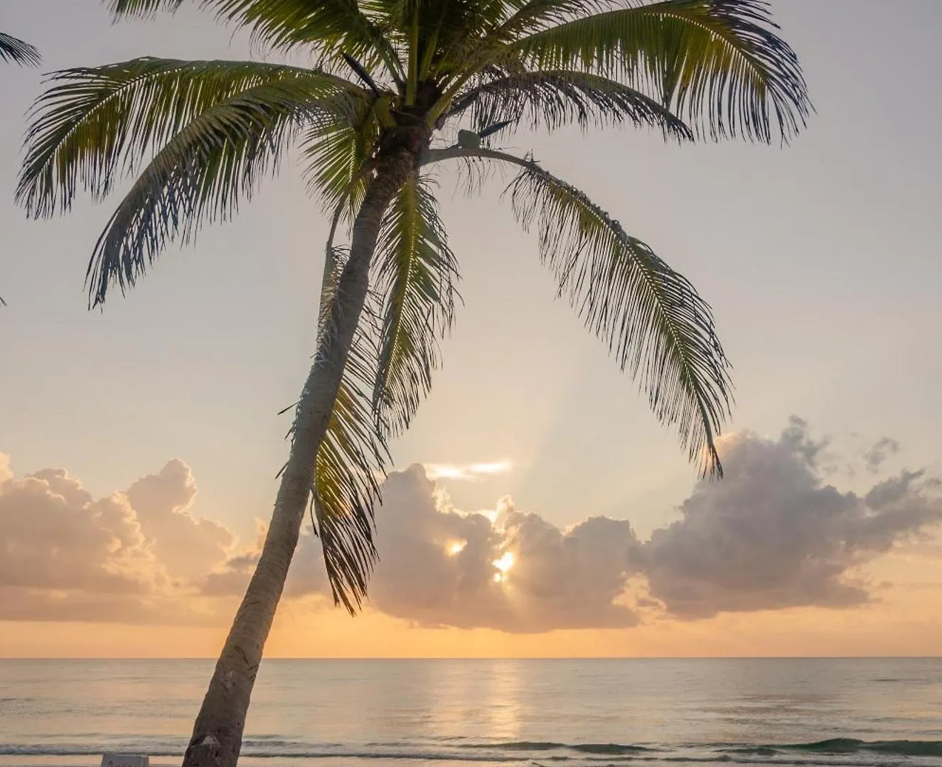 12Br Beachfront Private Villa With Infinity Pool By Solmar Rentals Tulum