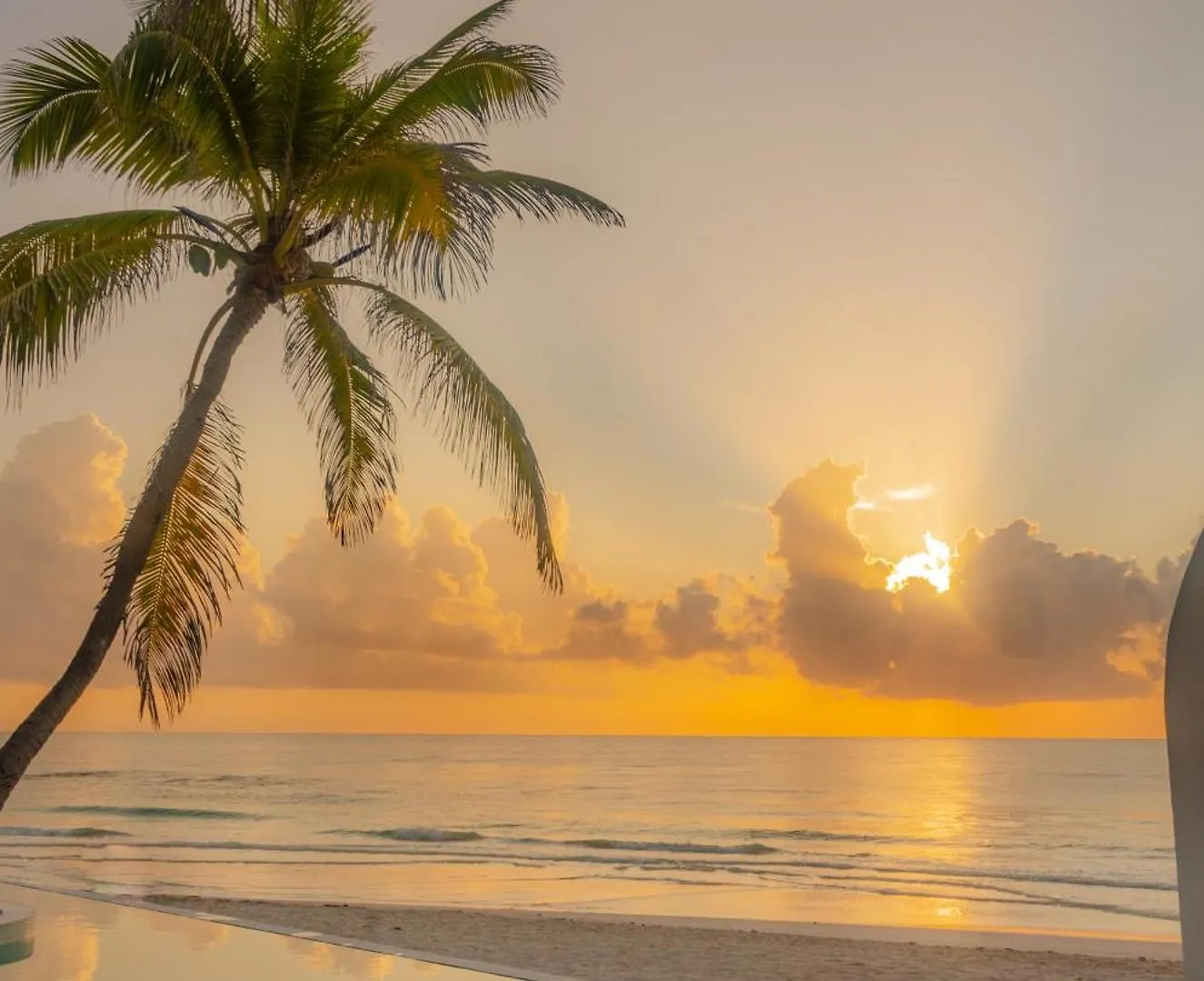 12Br Beachfront Private Villa With Infinity Pool By Solmar Rentals Tulum